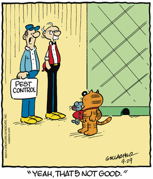 heathcliff